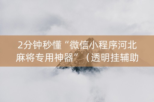 2分钟秒懂“微信小程序河北麻将专用神器”（透明挂辅助器)