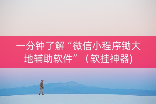 一分钟了解“微信小程序锄大地辅助软件”（软挂神器)