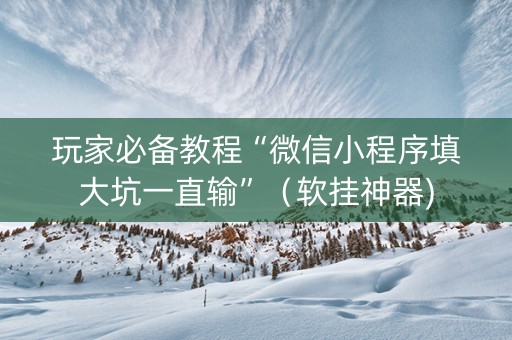 玩家必备教程“微信小程序填大坑一直输”（软挂神器)