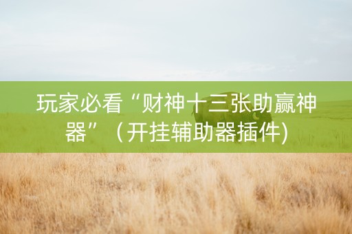 玩家必看“财神十三张助赢神器”（开挂辅助器插件)