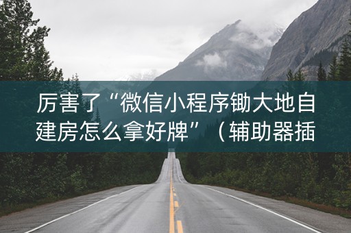 厉害了“微信小程序锄大地自建房怎么拿好牌”（辅助器插件)