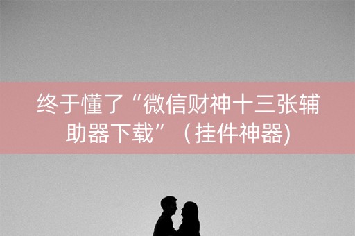 终于懂了“微信财神十三张辅助器下载”（挂件神器)