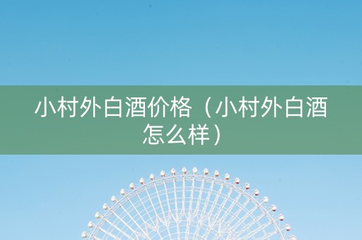 小村外白酒价格（小村外白酒怎么样）