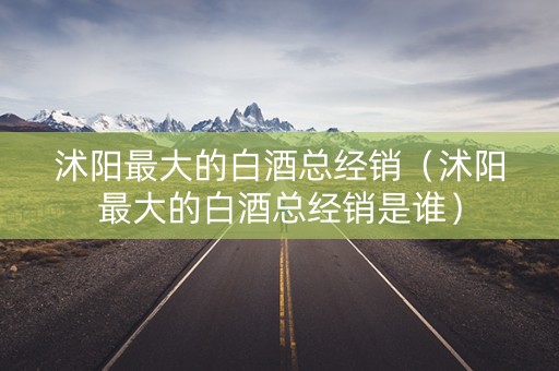沭阳最大的白酒总经销（沭阳最大的白酒总经销是谁）