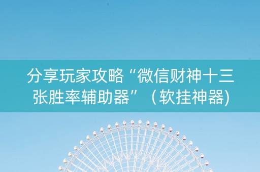 分享玩家攻略“微信财神十三张胜率辅助器”（软挂神器)