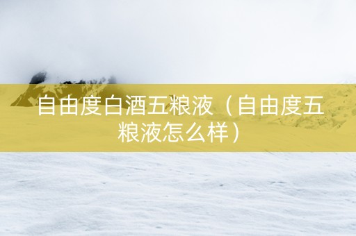 自由度白酒五粮液（自由度五粮液怎么样）