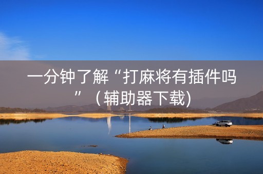 一分钟了解“打麻将有插件吗”（辅助器下载)