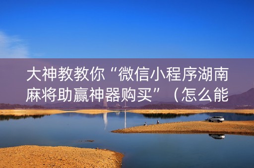 大神教教你“微信小程序湖南麻将助赢神器购买”（怎么能调好牌)