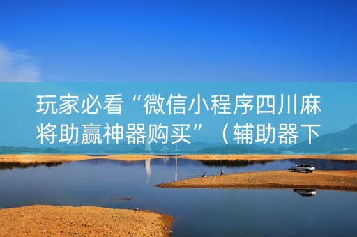 玩家必看“微信小程序四川麻将助赢神器购买”（辅助器下载)