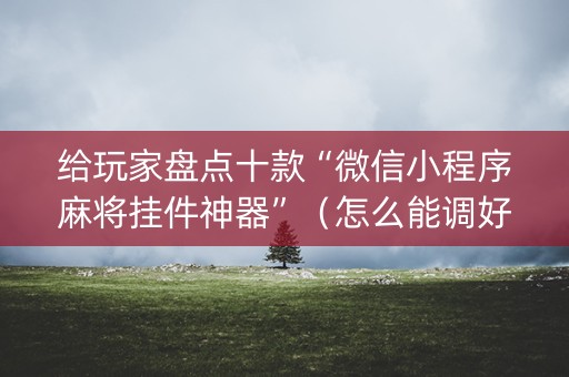 给玩家盘点十款“微信小程序麻将挂件神器”（怎么能调好牌)