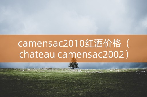 camensac2010红酒价格（chateau camensac2002）