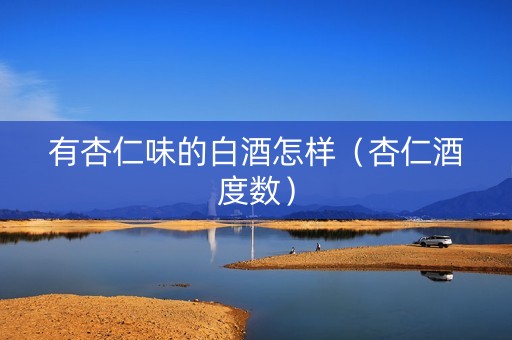 有杏仁味的白酒怎样（杏仁酒度数）