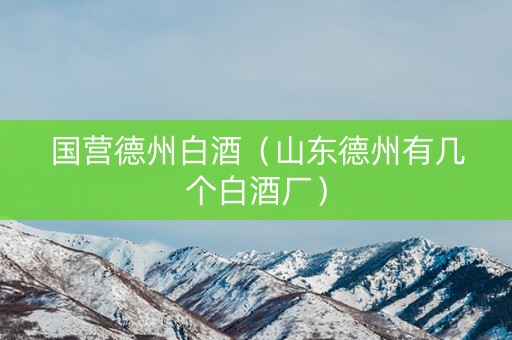国营德州白酒（山东德州有几个白酒厂）