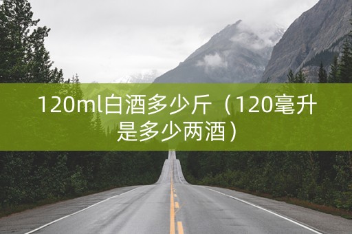120ml白酒多少斤（120毫升是多少两酒）