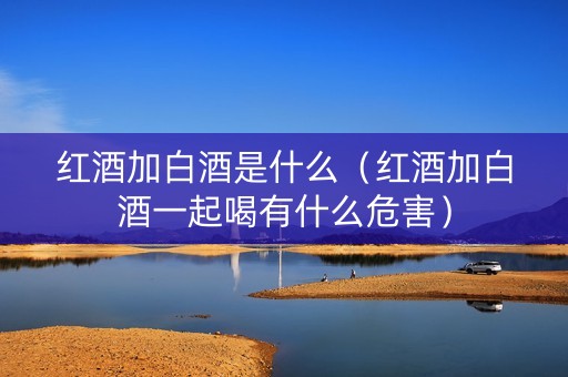 红酒加白酒是什么（红酒加白酒一起喝有什么危害）