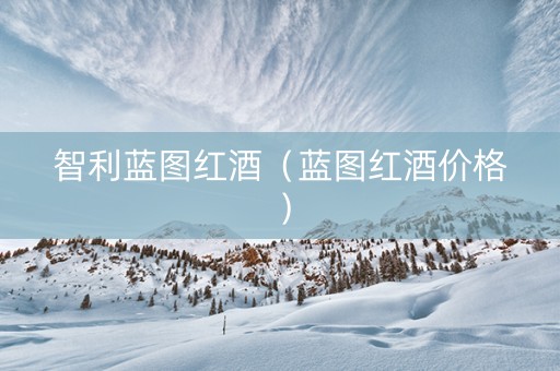 智利蓝图红酒（蓝图红酒价格）