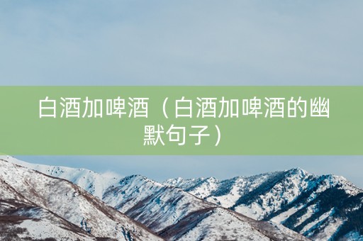 白酒加啤酒（白酒加啤酒的幽默句子）