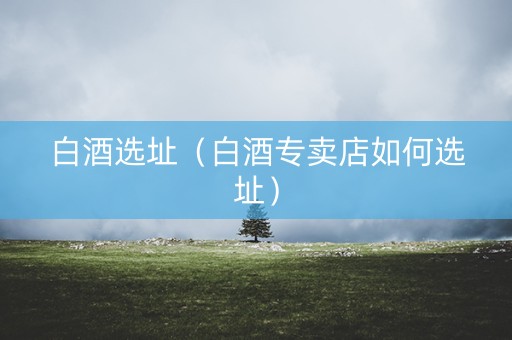 白酒选址（白酒专卖店如何选址）
