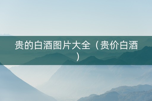 贵的白酒图片大全（贵价白酒）