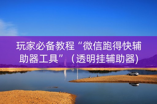 玩家必备教程“微信跑得快辅助器工具”（透明挂辅助器)
