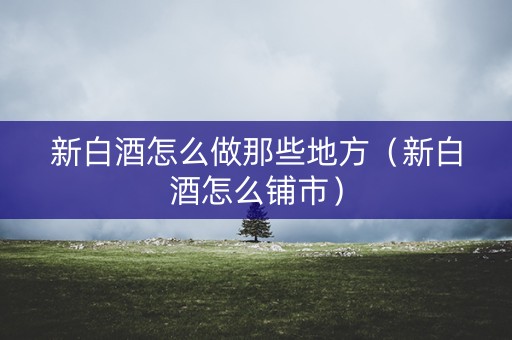 新白酒怎么做那些地方（新白酒怎么铺市）