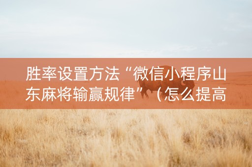 胜率设置方法“微信小程序山东麻将输赢规律”（怎么提高胜率)