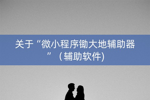 关于“微小程序锄大地辅助器”（辅助软件)