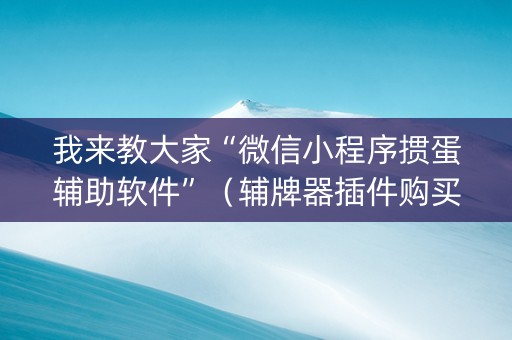 我来教大家“微信小程序掼蛋辅助软件”（辅牌器插件购买)