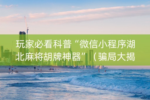 玩家必看科普“微信小程序湖北麻将胡牌神器”（骗局大揭秘)