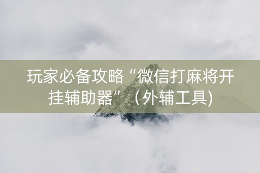 玩家必备攻略“微信打麻将开挂辅助器”（外辅工具)