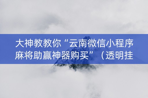 大神教教你“云南微信小程序麻将助赢神器购买”（透明挂辅助器)