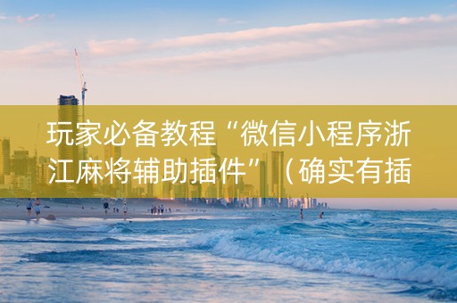 玩家必备教程“微信小程序浙江麻将辅助插件”（确实有插件吗)