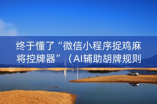 终于懂了“微信小程序捉鸡麻将控牌器”（AI辅助胡牌规则)