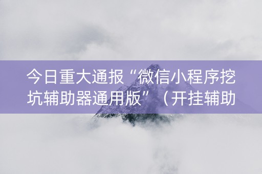 今日重大通报“微信小程序挖坑辅助器通用版”（开挂辅助插件)