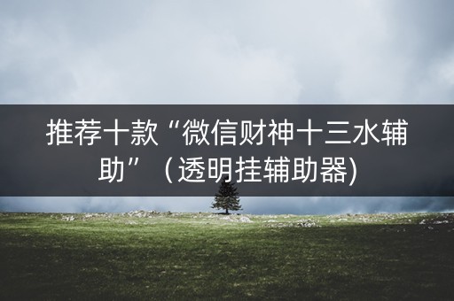 推荐十款“微信财神十三水辅助”（透明挂辅助器)