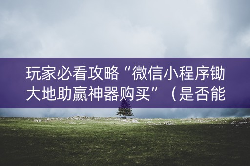 玩家必看攻略“微信小程序锄大地助赢神器购买”（是否能开挂)