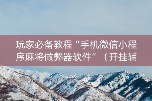 玩家必备教程“手机微信小程序麻将做弊器软件”（开挂辅助器插件)