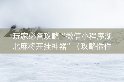 玩家必备攻略“微信小程序湖北麻将开挂神器”（攻略插件)