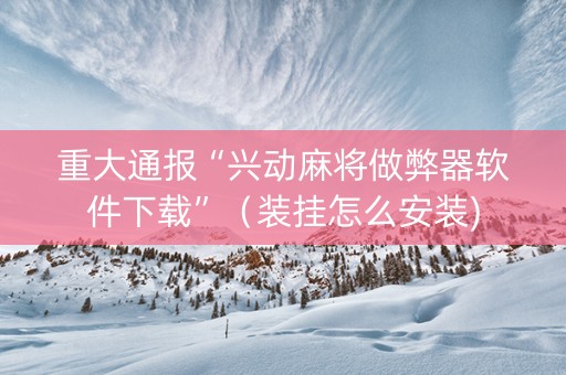 重大通报“兴动麻将做弊器软件下载”（装挂怎么安装)