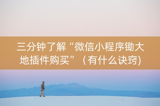 三分钟了解“微信小程序锄大地插件购买”（有什么诀窍)