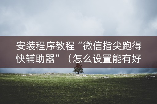 安装程序教程“微信指尖跑得快辅助器”（怎么设置能有好牌)