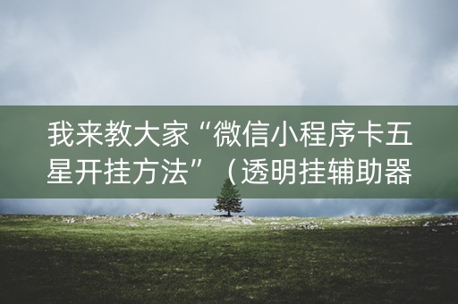 我来教大家“微信小程序卡五星开挂方法”（透明挂辅助器)