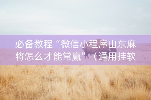 必备教程“微信小程序山东麻将怎么才能常赢”（通用挂软件多少钱)
