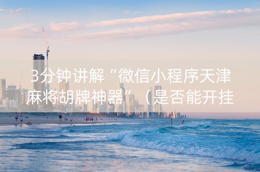 3分钟讲解“微信小程序天津麻将胡牌神器”（是否能开挂)