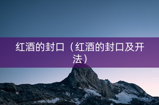红酒的封口（红酒的封口及开法）