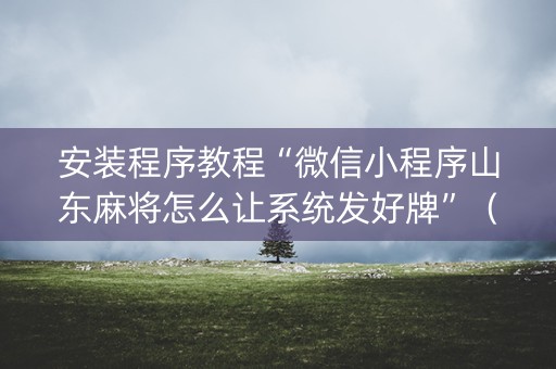 安装程序教程“微信小程序山东麻将怎么让系统发好牌”（通用挂软件多少钱)