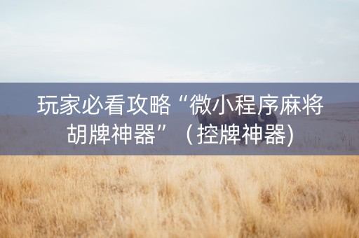 玩家必看攻略“微小程序麻将胡牌神器”（控牌神器)