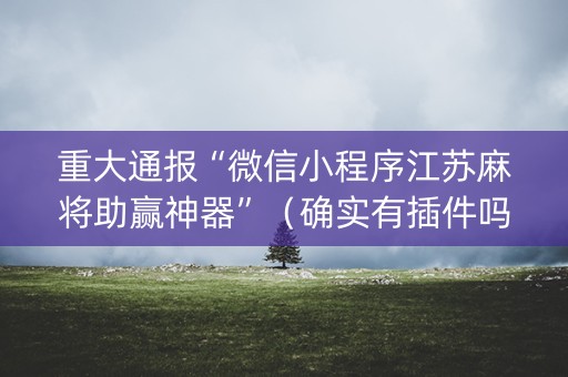 重大通报“微信小程序江苏麻将助赢神器”（确实有插件吗)