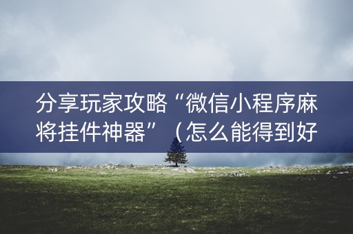 分享玩家攻略“微信小程序麻将挂件神器”（怎么能得到好牌)