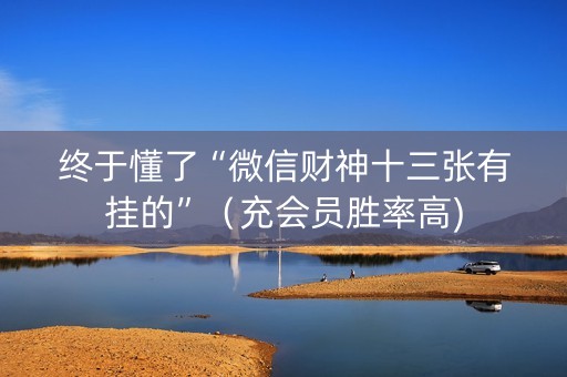 终于懂了“微信财神十三张有挂的”（充会员胜率高)